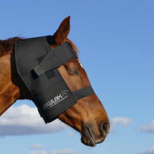 JawLax – Varmeterapi for kjeve