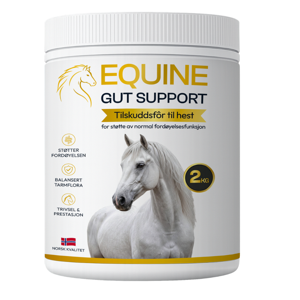 Equine Gut Support
